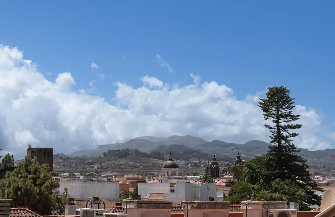 El Ombú del Agua-1